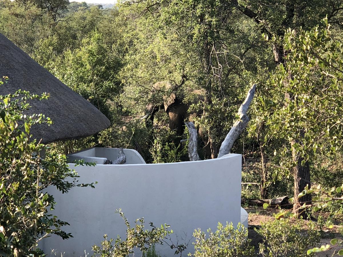 Lengau Lodge Grietjie Game Reserve Exterior foto