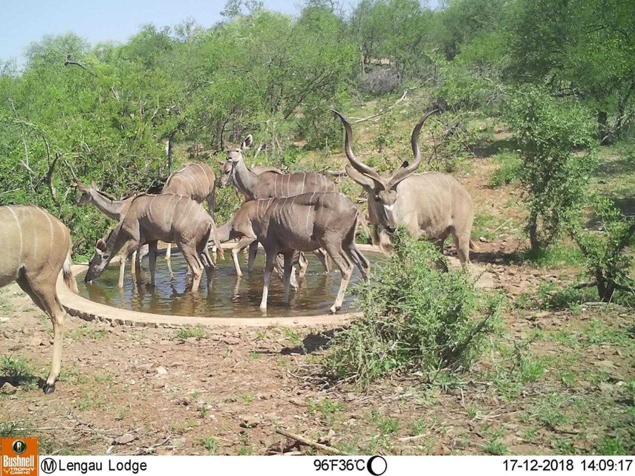 Lengau Lodge Grietjie Game Reserve Exterior foto